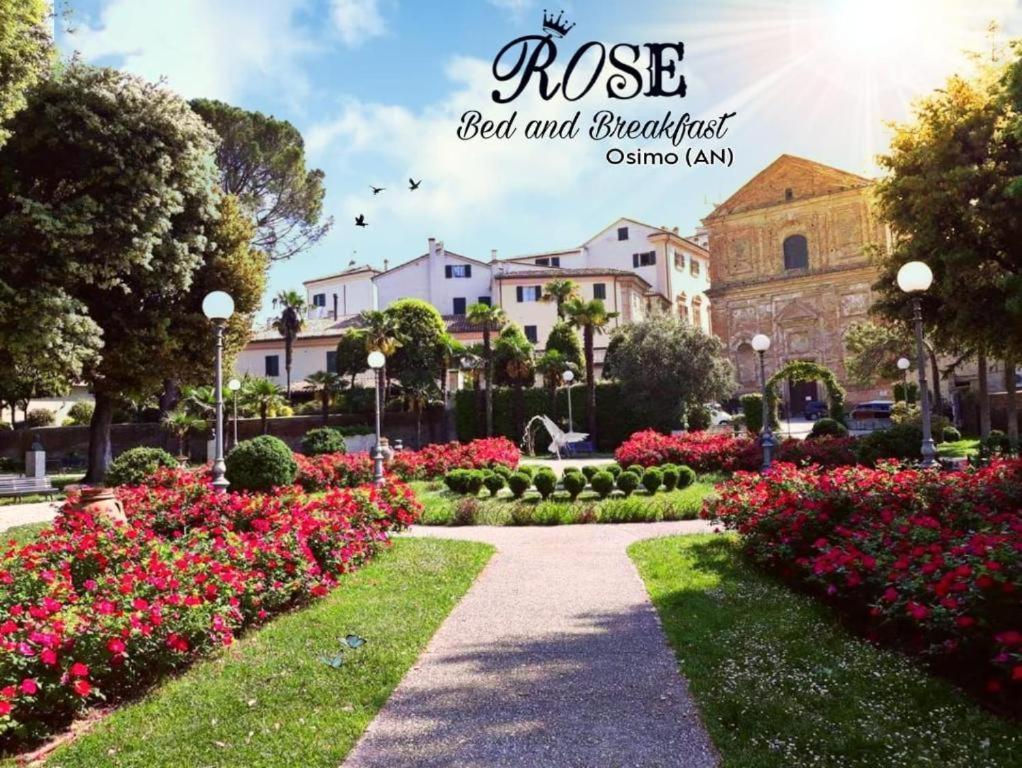 B&B Rose Озимо Экстерьер фото